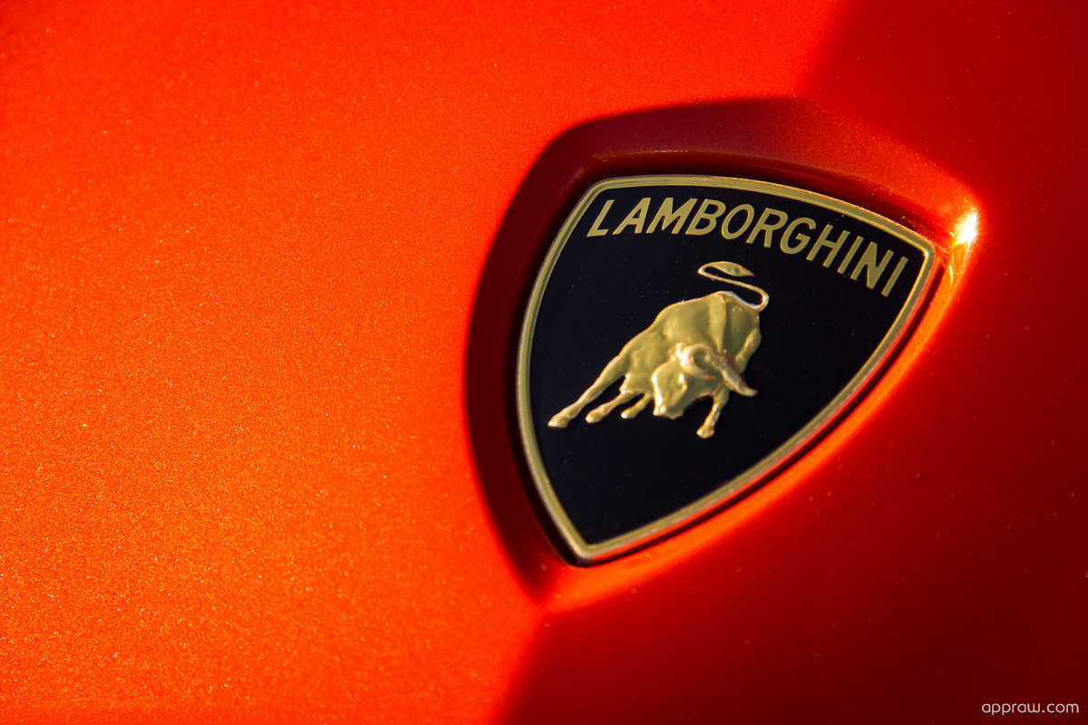 Orange Lamborghini Badge Wallpaper download - Lamborghini HD Wallpaper